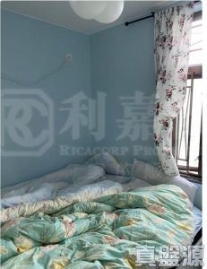 綠楊新邨 F座 - 28NTS – 香港北部都會區