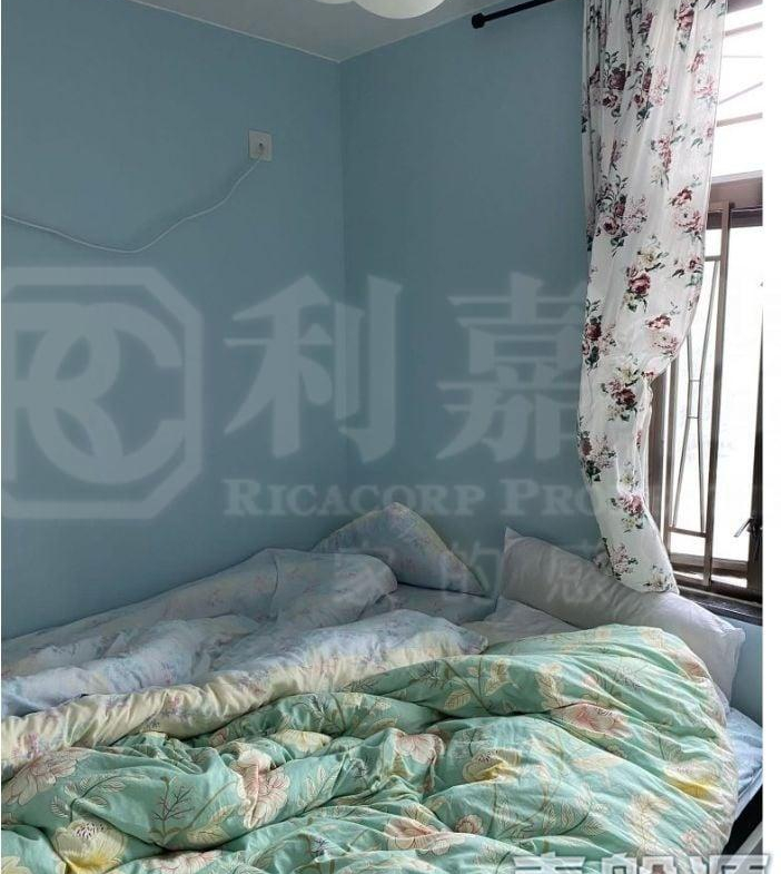 綠楊新邨 F座 - 28NTS – 香港北部都會區