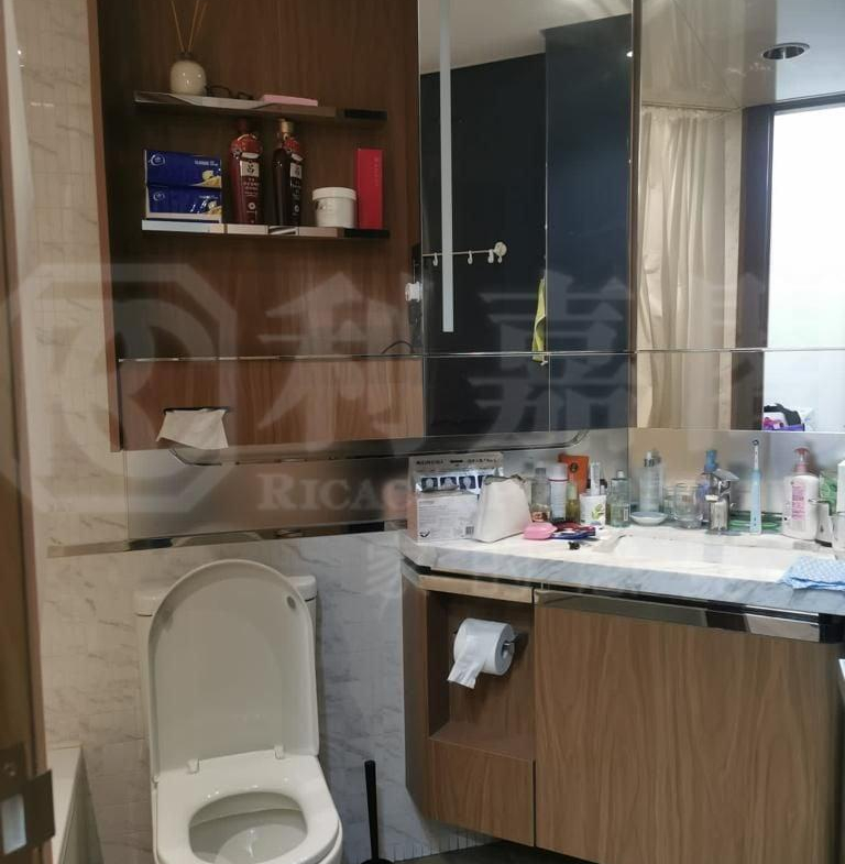 柏傲灣 1B座 - 28NTS – 香港北部都會區