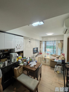 東環 2期 2A座 - 28NTS – 香港北部都會區