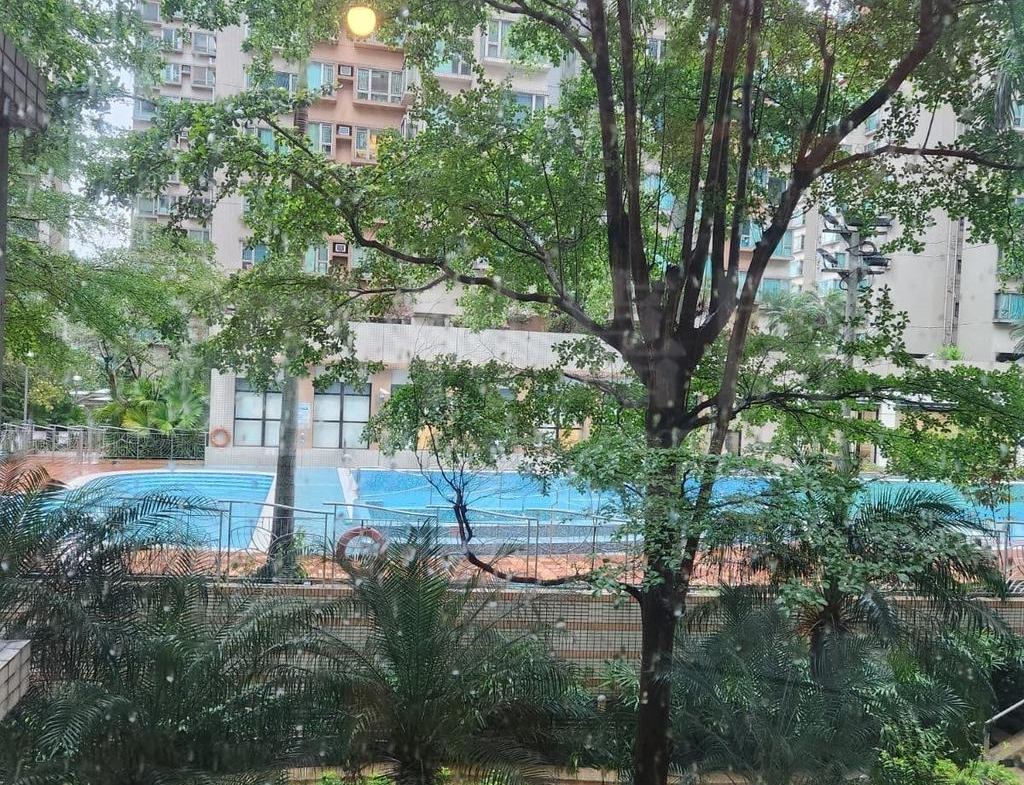 采葉庭 12座 - 28NTS – 香港北部都會區