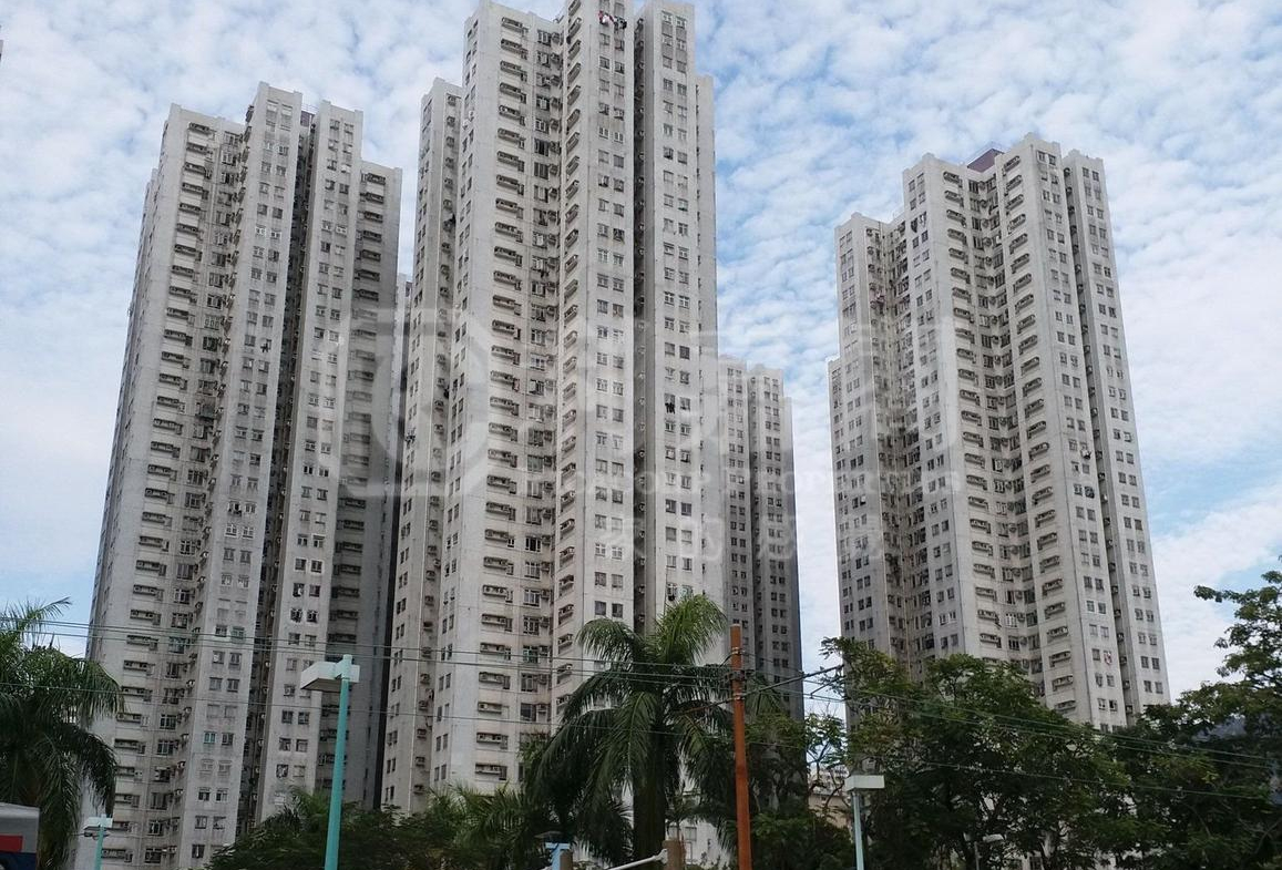 翠寧花園 6座 - 28NTS – 香港北部都會區