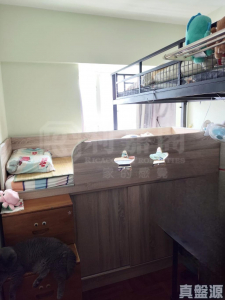 景新臺 1座 - 28NTS – 香港北部都會區