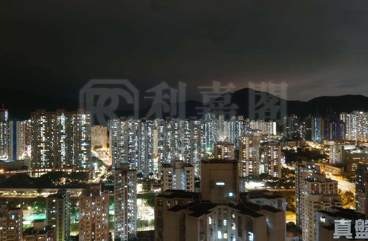 景新臺 1座 - 28NTS – 香港北部都會區
