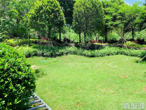 緹岸 1期 1A座 - 28NTS – 香港北部都會區