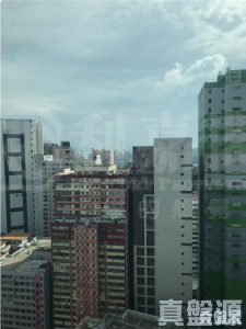 樂悠居 - 28NTS – 香港北部都會區