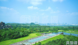 WETLAND SEASONS PARK 2期 2座 - 28NTS – 香港北部都會區