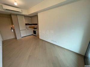 柏瓏 1A期 柏瓏 I 3座 - 28NTS – 香港北部都會區