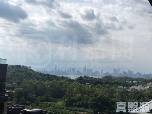 WETLAND SEASONS BAY 2期 1B座 - 28NTS – 香港北部都會區