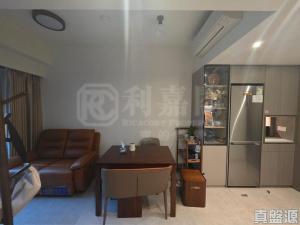 NOVO LAND 1B期 Bergen 3座 - 28NTS – 香港北部都會區