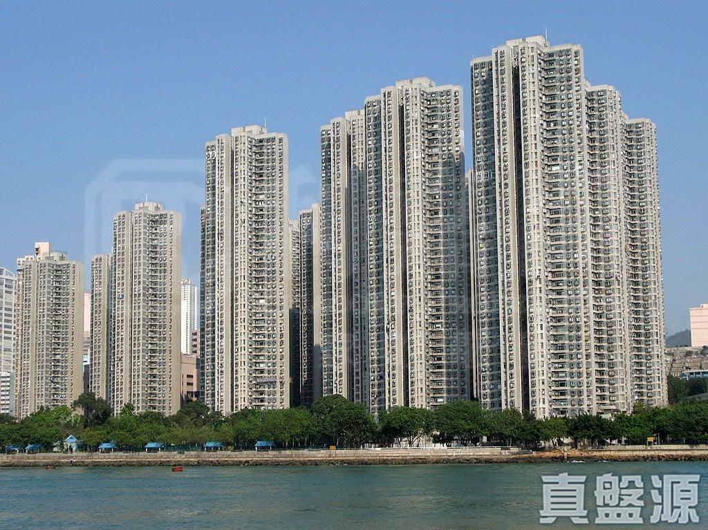 海濱花園 海雅閣 (8座) - 28NTS – 香港北部都會區