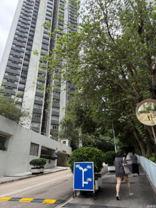 翠濤閣 3座 - 28NTS – 香港北部都會區
