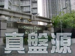 嘉湖山莊 1期 樂湖居 14座 - 28NTS – 香港北部都會區