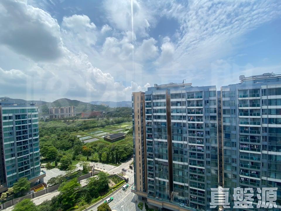 峻巒 2A期 PARK YOHO GENOVA 16A座 - 28NTS – 香港北部都會區