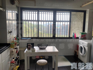 屯門閣 - 28NTS – 香港北部都會區