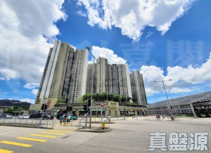 屏欣苑 B座 (屏彥閣) - 28NTS – 香港北部都會區