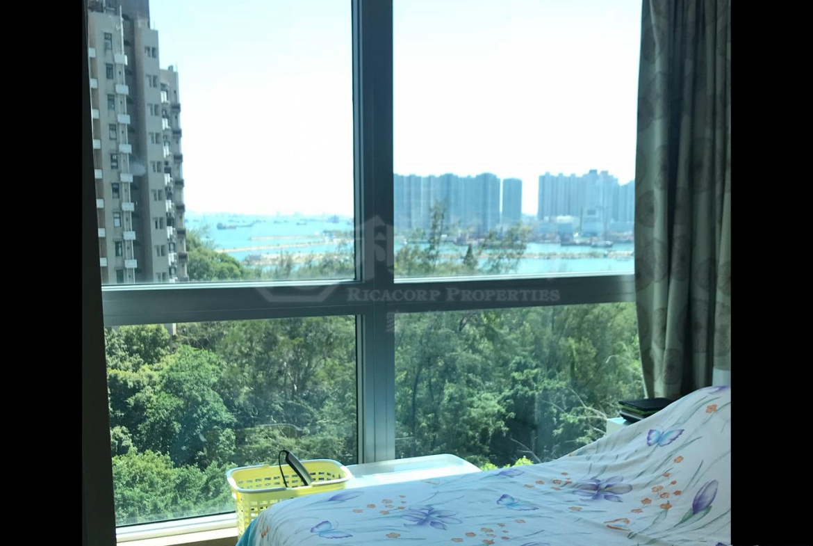 南岸 - 28NTS – 香港北部都會區