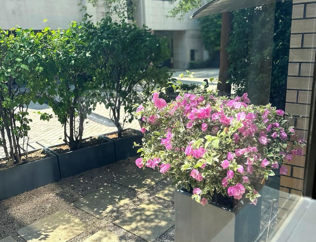 琨崙 青玥琳 洋房18 - 28NTS – 香港北部都會區