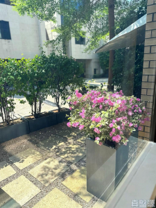 琨崙 青玥琳 洋房18 - 28NTS – 香港北部都會區
