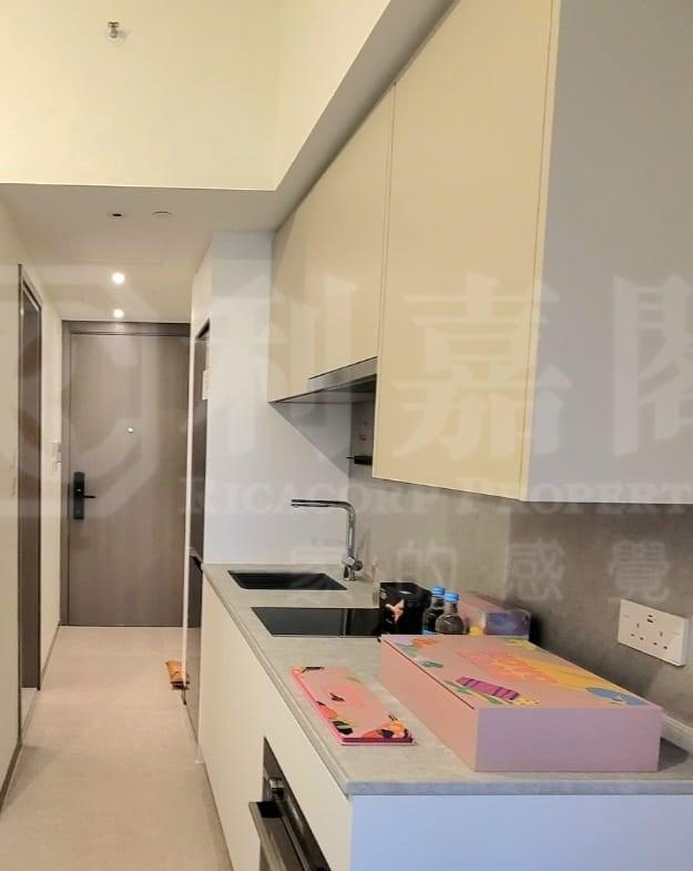 NOVO LAND 1B期 Bergen 1座 - 28NTS – 香港北部都會區