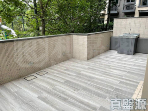 WETLAND SEASONS PARK 3期 8座 - 28NTS – 香港北部都會區