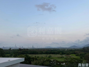 WETLAND SEASONS PARK 2期 別墅6 - 28NTS – 香港北部都會區