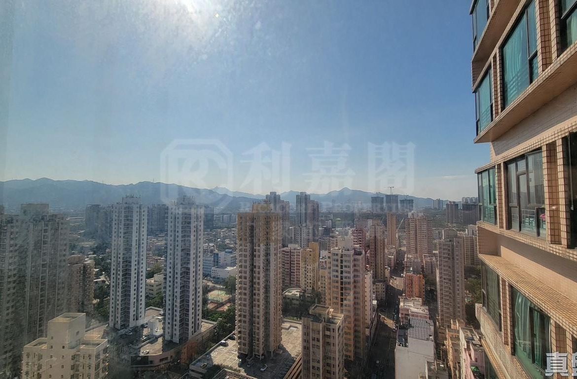 合益廣場 A座 - 28NTS – 香港北部都會區