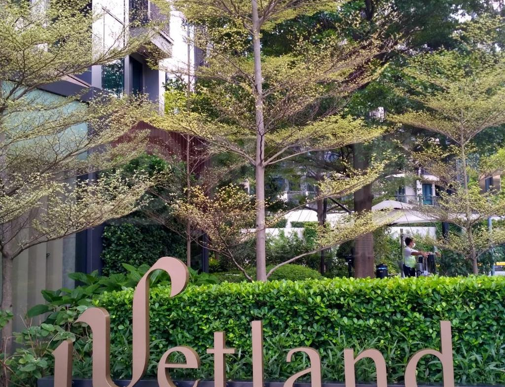 WETLAND SEASONS PARK 1期 22座 - 28NTS – 香港北部都會區
