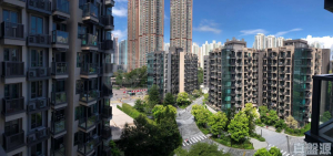 WETLAND SEASONS PARK 2期 12座 - 28NTS – 香港北部都會區