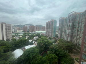 疊茵庭 1座 - 28NTS – 香港北部都會區