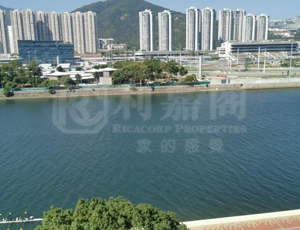 翠湖花園 2期 E座 - 28NTS – 香港北部都會區