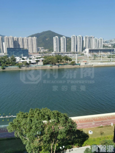 翠湖花園 2期 E座 - 28NTS – 香港北部都會區