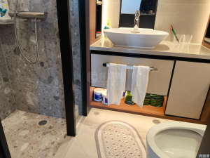SILICON HILL 1期 翠景閣 第2座 - 28NTS – 香港北部都會區