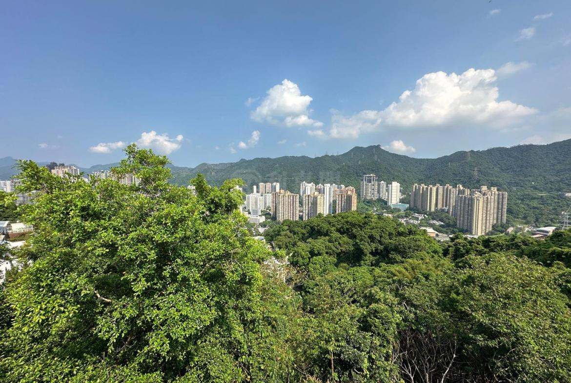 欣怡峰 - 28NTS – 香港北部都會區