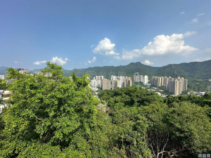 欣怡峰 - 28NTS – 香港北部都會區