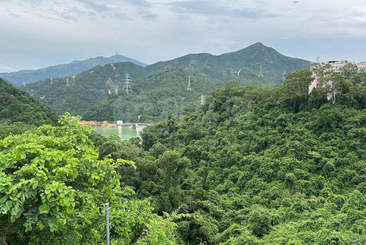 欣怡峰 - 28NTS – 香港北部都會區