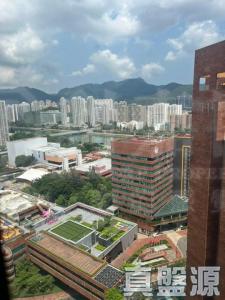 偉華中心 1座 - 28NTS – 香港北部都會區