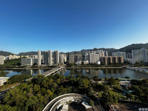 沙田中心 東寧大廈 (A座) - 28NTS – 香港北部都會區