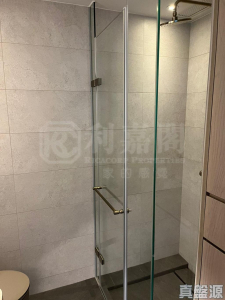 柏傲莊 1期 2座 (2B) - 28NTS – 香港北部都會區