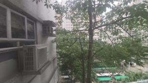 粉嶺名都 百利閣 (2座) - 28NTS – 香港北部都會區