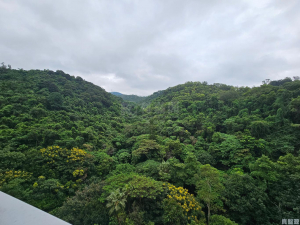 壹號雲頂 1期 2座 - 28NTS – 香港北部都會區