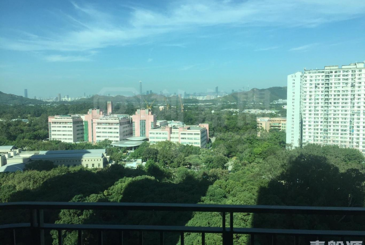 顯峯 - 28NTS – 香港北部都會區