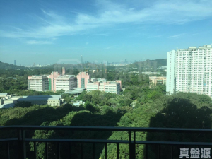 顯峯 - 28NTS – 香港北部都會區