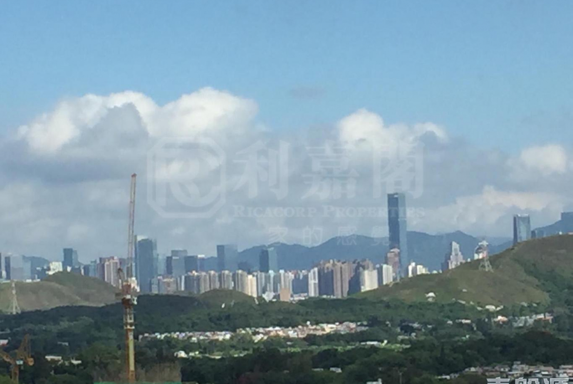 顯峯 - 28NTS – 香港北部都會區