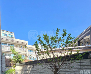 大美督222 - 28NTS – 香港北部都會區