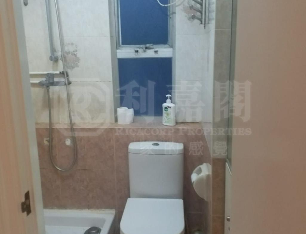 沙田中心 佳寧大廈 (C座) - 28NTS – 香港北部都會區