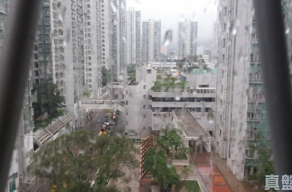 沙田第一城 7期 36座 - 28NTS – 香港北部都會區