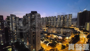 金獅花園 2期 金安閣 (C座) - 28NTS – 香港北部都會區