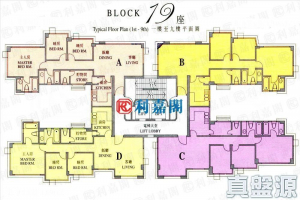 新峰花園 3期 御峰苑 19座 - 28NTS – 香港北部都會區