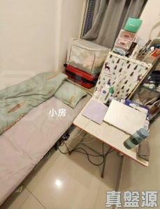 粉嶺名都 百利閣 (2座) - 28NTS – 香港北部都會區